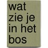 Wat zie je in het bos