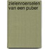 Zielenroerselen van een puber