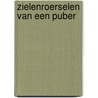 Zielenroerselen van een puber door Martijn van den Bergh