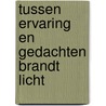 Tussen ervaring en gedachten brandt licht door R. Erades