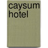 Caysum Hotel door Gert Zuydgeest