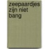 Zeepaardjes zijn niet bang