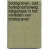Bodegraven, Oud Bodegraafseweg. Kijkgaatjes in het verleden van Bodegraven by F.C. Wijsenbeek