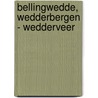 Bellingwedde, Wedderbergen - Wedderveer by R. van Lil