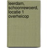 Leerdam, Schoonrewoerd, Locatie 1 Overheicop door R. van Lil
