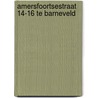 Amersfoortsestraat 14-16 te Barneveld door R.M. van der Zee