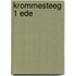 Krommesteeg 1 Ede
