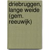 Driebruggen, Lange Weide (gem. Reeuwijk) door R. van Lil