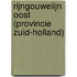 Rijngouwelijn Oost (provincie Zuid-Holland)