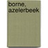 Borne, Azelerbeek