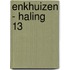 Enkhuizen - Haling 13