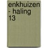 Enkhuizen - Haling 13