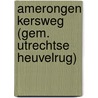 Amerongen Kersweg (gem. Utrechtse Heuvelrug) door J.M. Blom