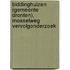 Biddinghuizen (gemeente Dronten), Mosselweg vervolgonderzoek