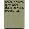 Boven-Leeuwen (gem.West Maas en Waal), Molenstraat door R. van Lil