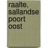 Raalte, Sallandse Poort Oost by S.M. Beckerman