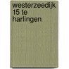 Westerzeedijk 15 te Harlingen door J.A.G. van Rooij