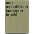 Een mesolithisch kampje in Brucht