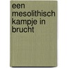 Een mesolithisch kampje in Brucht by A. van Benthem