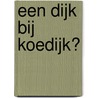 Een dijk bij Koedijk? by M.E. van Kruining