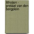 Lithoijen - Prelaat van den Bergplein