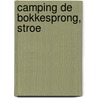Camping De Bokkesprong, Stroe door J. Holl