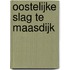 Oostelijke Slag te Maasdijk