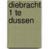 Diebracht 1 te Dussen