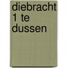 Diebracht 1 te Dussen by J.A.G. van Rooij