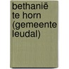 Bethanië te Horn (gemeente Leudal) by R.M. van der Zee