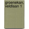 Groenekan, Veldlaan 1 by L. Haaring