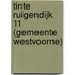 Tinte Ruigendijk 11 (gemeente Westvoorne)