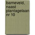 Barneveld, naast Plantagelaan nr 10