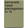 Barneveld, naast Plantagelaan nr 10 door R. van Lil