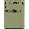 Ankeveen, A. Voetlaan door S. Nederpelt