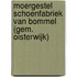 Moergestel Schoenfabriek Van Bommel (gem. Oisterwijk)