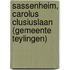 Sassenheim, Carolus Clusiuslaan (gemeente Teylingen)