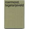 Roermond, Tegelarijeveld door R. van Lil