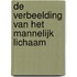 De verbeelding van het mannelijk lichaam