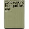 Zondagskind in de politiek enz door Rogier