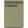 Lakota/Sioux indianen door H. Schut