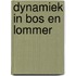 Dynamiek in Bos en Lommer