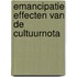 Emancipatie effecten van de cultuurnota