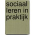 Sociaal leren in praktijk