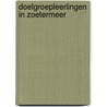 Doelgroepleerlingen in Zoetermeer by I. van der Veen