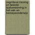 Cognitieve training en tweede taalverwerving in het vak- en beroepsonderwijs