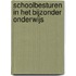 Schoolbesturen in het bijzonder onderwijs