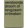 Verstoorde droom of langzaam ontwaken door S.J.C. Eijndhoven