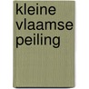 Kleine vlaamse peiling by Schooten