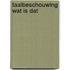 Taalbeschouwing wat is dat